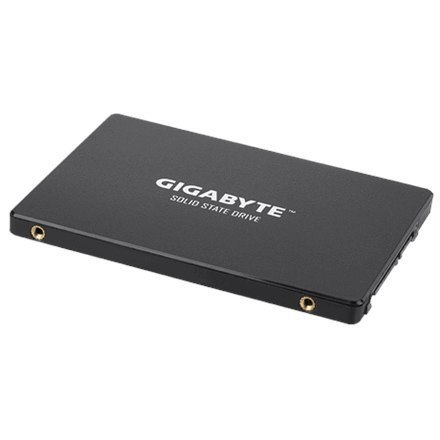 Gigabyte GP-GSTFS31256GTND 256 GB, SSD interface SATA, Write speed 500 MB/s, Read speed 520 MB/s Gigabyte GP-GSTFS31256GTND 256 GB, SSD interface SATA, Write speed 500 MB/s, Read speed 520 MB/s