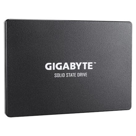 Gigabyte GP-GSTFS31256GTND 256 GB, SSD interface SATA, Write speed 500 MB/s, Read speed 520 MB/s Gigabyte GP-GSTFS31256GTND 256 GB, SSD interface SATA, Write speed 500 MB/s, Read speed 520 MB/s