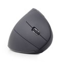 Gembird MUSW-ERGO-01 2.4GHz Wireless Optical Mouse, USB, Wireless connection, Black Gembird MUSW-ERGO-01 2.4GHz Wireless Optical Mouse, USB, Wireless connection, Black