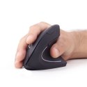 Gembird MUSW-ERGO-01 2.4GHz Wireless Optical Mouse, USB, Wireless connection, Black Gembird MUSW-ERGO-01 2.4GHz Wireless Optical Mouse, USB, Wireless connection, Black