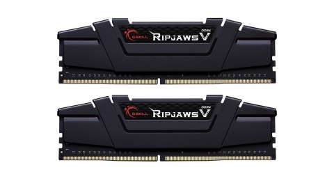 G.Skill Ripjaws V 32 GB, DDR4, 4000 MHz, PC/server, Registered No, ECC No G.Skill Ripjaws V 32 GB, DDR4, 4000 MHz, PC/server, Registered No, ECC No