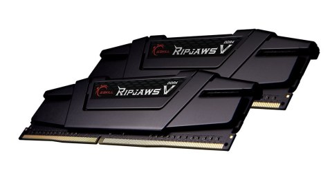 G.Skill F4-3200C16D-64GVK 64 GB, DDR4, 3200 MHz, PC/server, Registered No, ECC No G.Skill F4-3200C16D-64GVK 64 GB, DDR4, 3200 MHz, PC/server, Registered No, ECC No