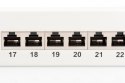 Digitus Patch Panel DN-91624S White, 48.2 x 4.4 x 10.9 cm, Category: CAT 6; Ports: 24 x RJ45; Retention strength: 7.7 kg; Insert Digitus Patch Panel DN-91624S White, 48.2 x 4.4 x 10.9 cm, Category: CAT 6; Ports: 24 x RJ45; Retention strength: 7.7 kg; Insert