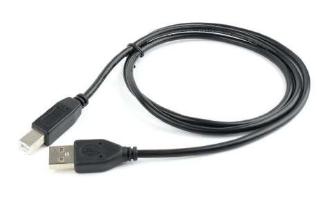Gembird Cable USB2 AM-BM 1 m, Black, USB B, USB A Gembird Cable USB2 AM-BM 1 m, Black, USB B, USB A