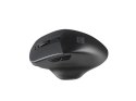 Natec Mouse, BlackBird 2, Silent, Wireless, 1600 DPI, Optical, Black Natec Mouse, BlackBird 2, Silent, Wireless, 1600 DPI, Optical, Black