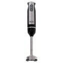 Camry CR 4621 Hand Blender, 1000 W, Number of speeds 2, Turbo mode, Black/Stainless Steel