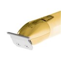 Adler Professional Trimmer AD 2836g Cordless, Number of length steps 1, Gold Adler Professional Trimmer AD 2836g Cordless, Number of length steps 1, Gold