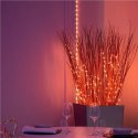 Twinkly Dots Smart LED Lights 60 RGB (Multicolor), USB Powered, 3m, Transparent Twinkly Dots Smart LED Lights 60 RGB (Multicolor), USB Powered, 3m, Transparent