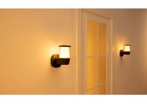 WiZ Smart WiFi Outdoor Wall Light Wizarding World WiZ Smart WiFi Outdoor Wall Light Wizarding World
