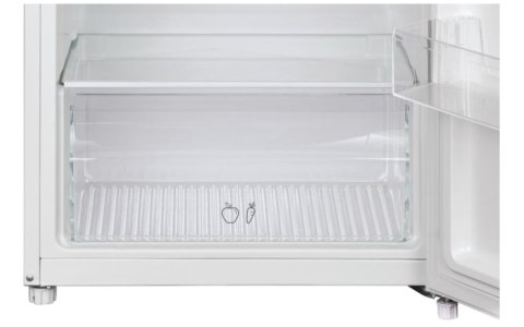 Candy | Refrigerator | CDG1S514EW | Energy efficiency class E | Free standing | Double Door | Height 142.8 cm | Fridge net capac Candy | Refrigerator | CDG1S514EW | Energy efficiency class E | Free standing | Double Door | Height 142.8 cm | Fridge net capac