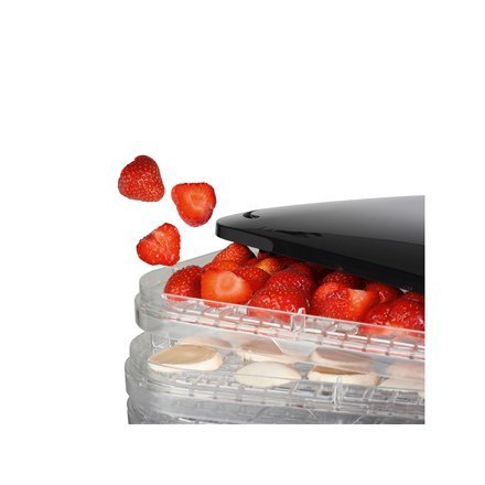 Princess Food Dryer Black, Transparent, 245 W Princess Food Dryer Black, Transparent, 245 W