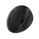 Logilink ID0139 Mouse, Wireless 2.4G, ergonomic