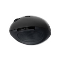 Logilink ID0139 Mouse, Wireless 2.4G, ergonomic